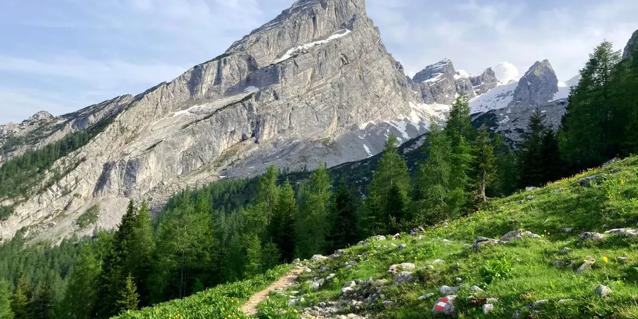 Pfad zum Watzmann. Grüne Almwiesen mit gelben Blumen und Felsen, im Hintergrund der majestätische Watzmann. Perfekt für eine Wanderung.