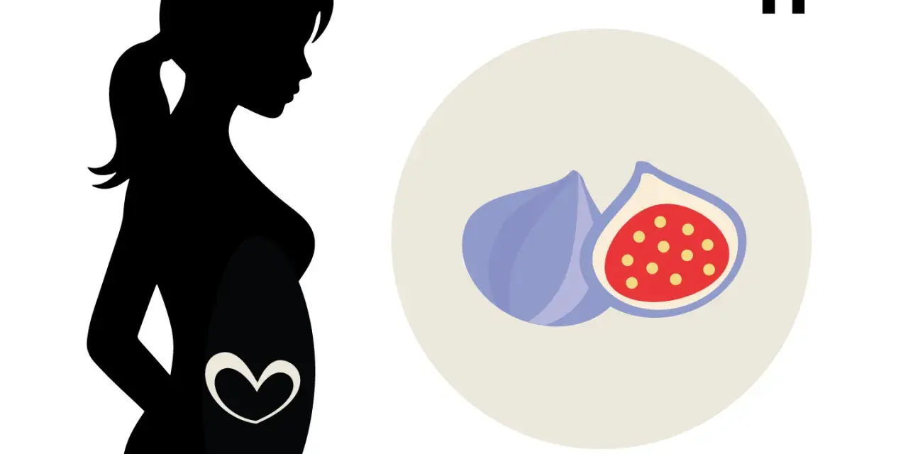 Silhouetten einer schwangeren Frau mit einem Herzsymbol auf dem Bauch. Daneben Feigen, die die 11. SSW symbolisieren.