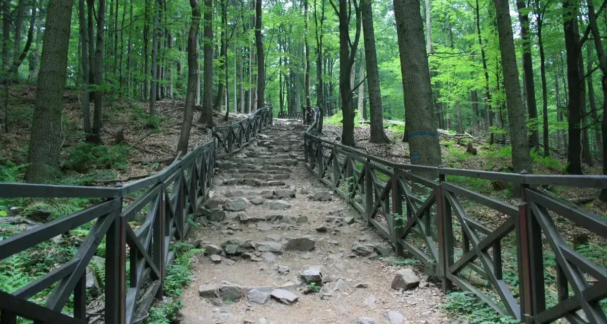 Kamieniste schody wiodące przez las w Górach Świętokrzyskich, otoczone drewnianą balustradą.