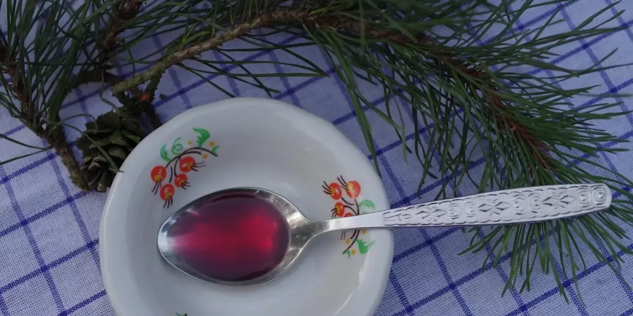 Syrop z sosny na jaki kaszel? Łyżeczka z ciemnoczerwonym syropem sosnowym na talerzyku, gałązka sosny i szyszka.