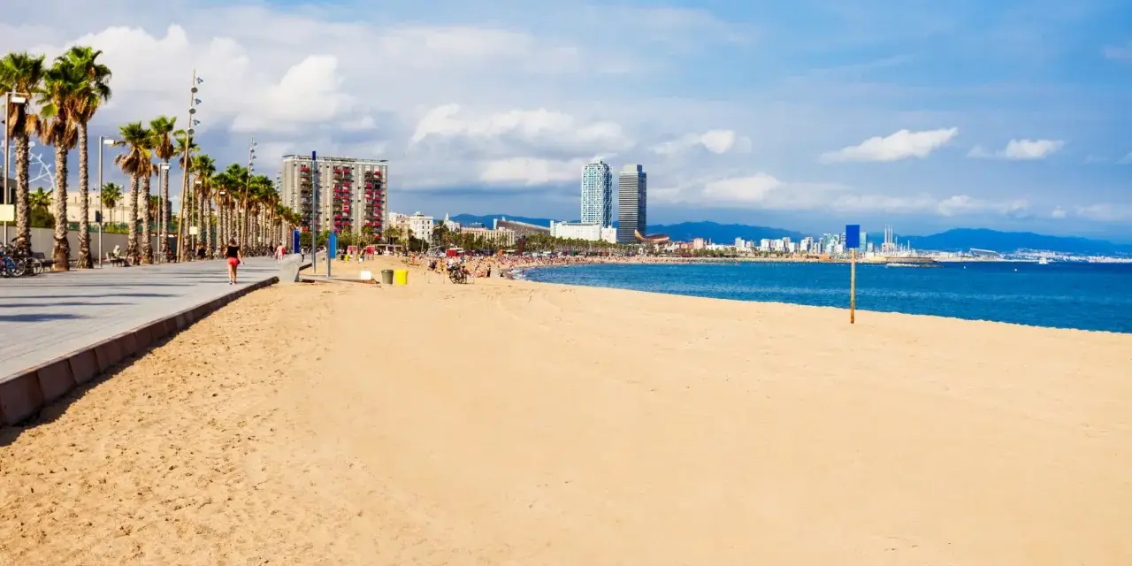 Słoneczna plaża w Barcelonie, palmy, deptak i błękitne morze. W oddali widać panoramę miasta.