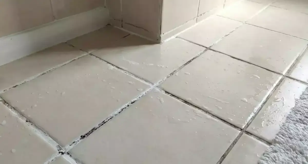 Des joints de carrelage encrassés, peut-être par du salpêtre, attendent un nettoyage.