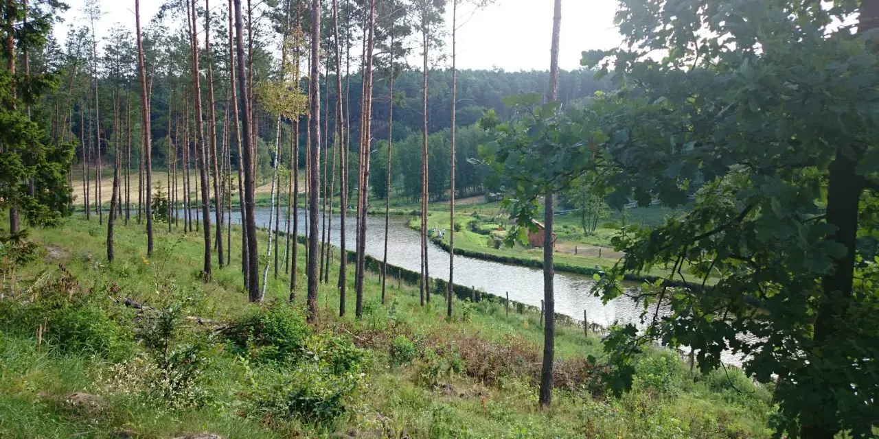 Malownicze jezioro Wilcze otoczone lasem sosnowym, z widocznym małym domkiem i kilkoma osobami spacerującymi nad wodą.
