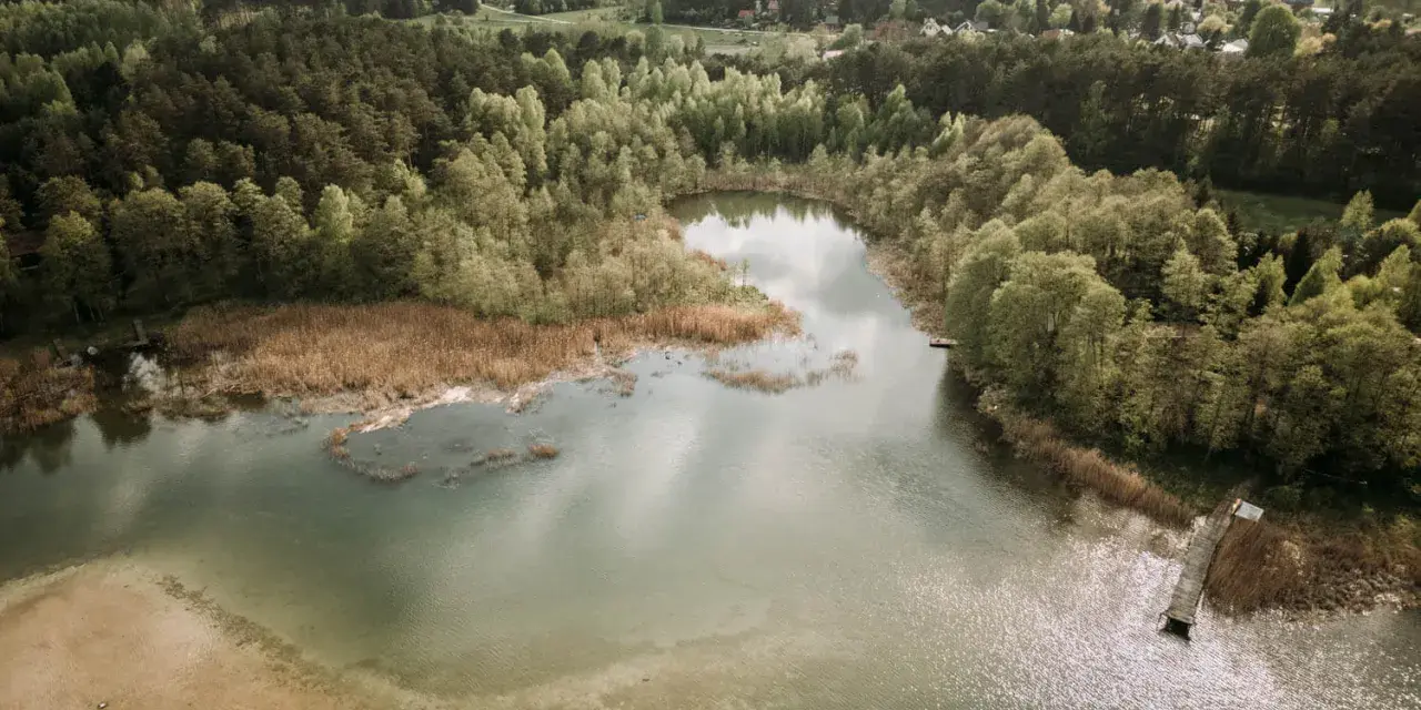 Malownicze jezioro Świętajno otoczone lasami i trzcinami. W oddali widać zabudowania wsi.