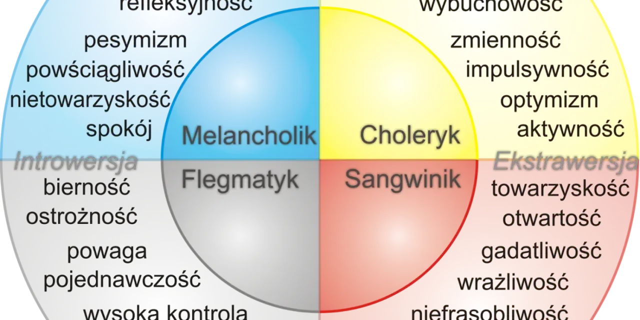 Jaki masz typ osobowości? Odkryj, co mówi o Tobie Twój wynik