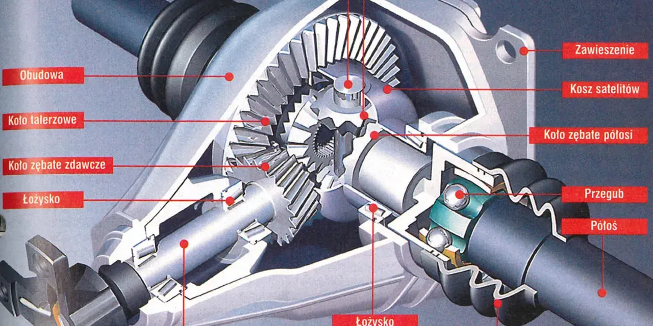 Przekrój mechanizmu dyfer, ukazujący koła zębate, łożyska i półosie.