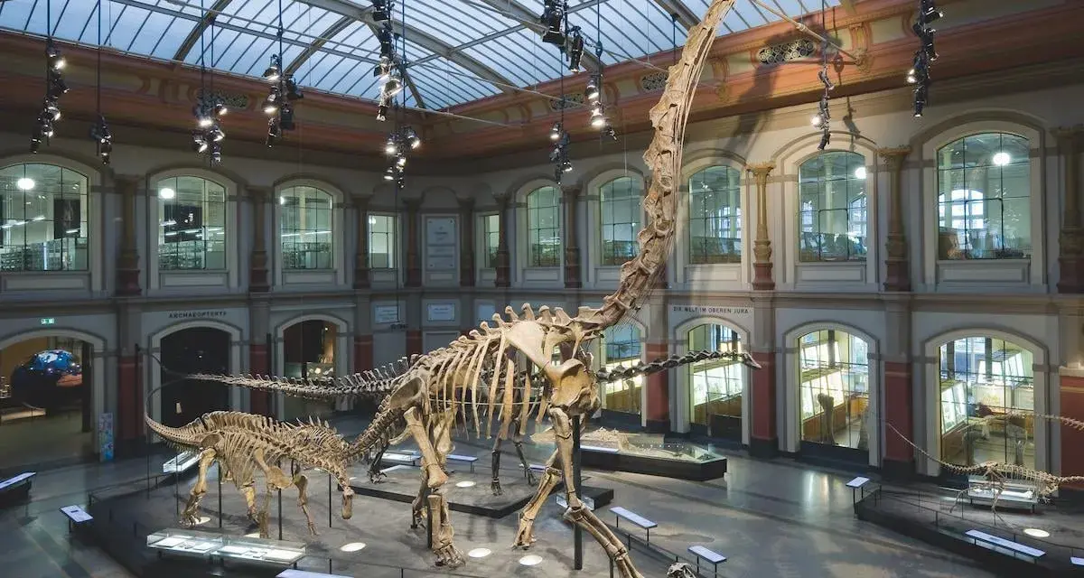W muzeum prehistorii imponujące szkielety dinozaurów, w tym gigantyczny brachiozaur, przyciągają wzrok pod szklanym dachem.