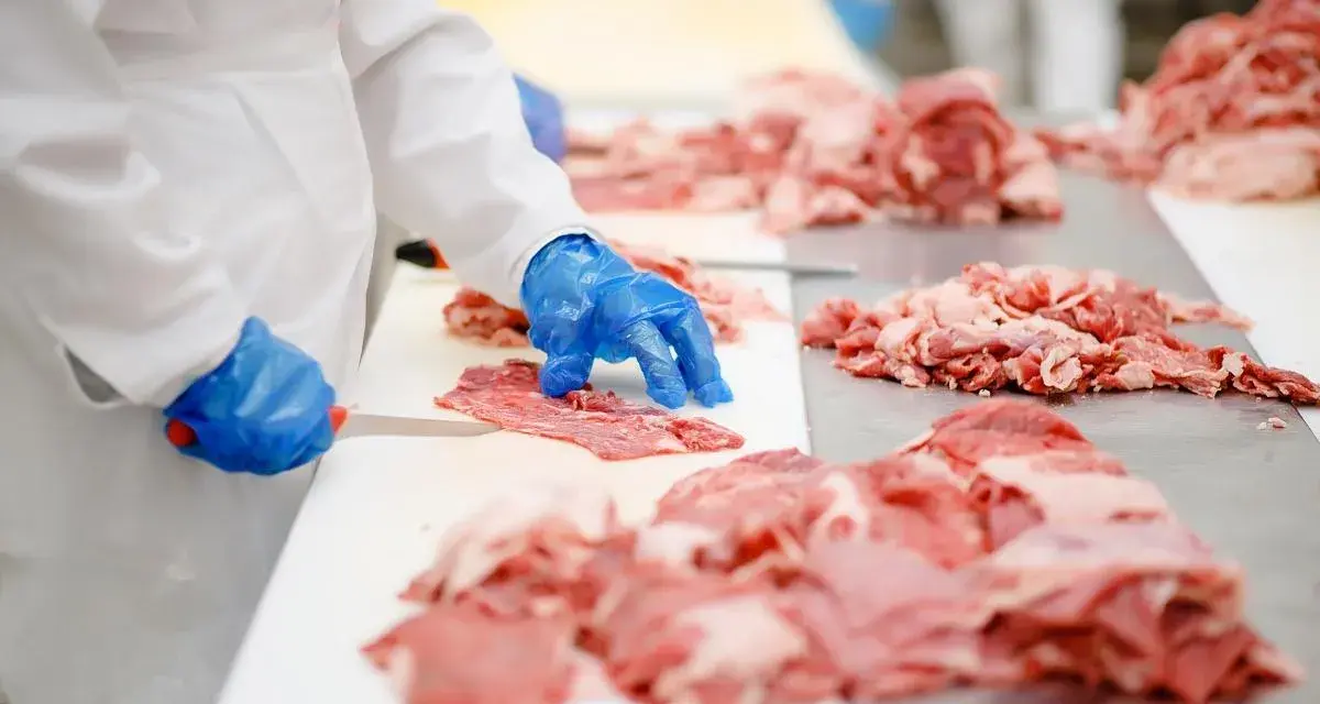Rodzaje mięsa w kebabie: Jak rozpoznać jakość i unikać 'kuli mocy'?