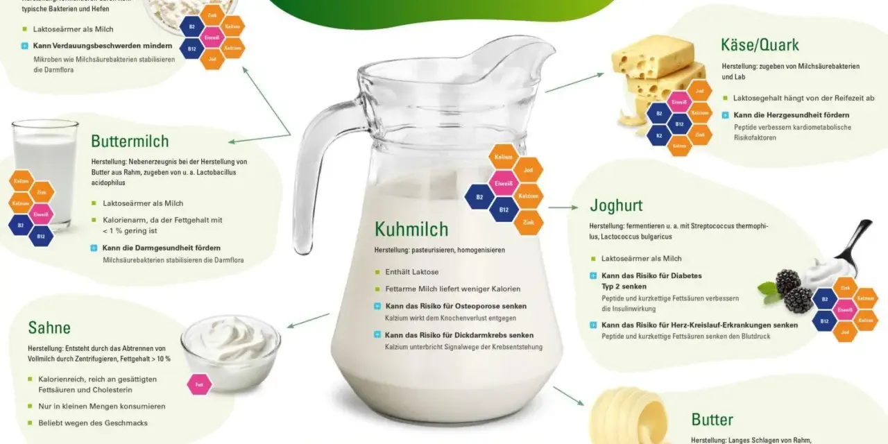 Die DGE empfiehlt täglich 2 Portionen Milchprodukte. Eine Portion sind 250 ml Milch, Kefir, Buttermilch oder 150g Joghurt.