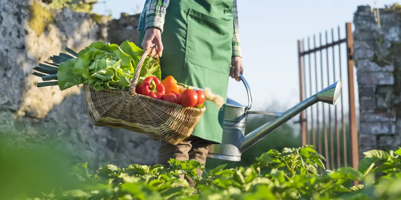 Un contadino porta un cesto di verdure fresche, tra cui lattuga e peperoni, e un annaffiatoio. La scena evoca la bellezza della raccolta di giugno.