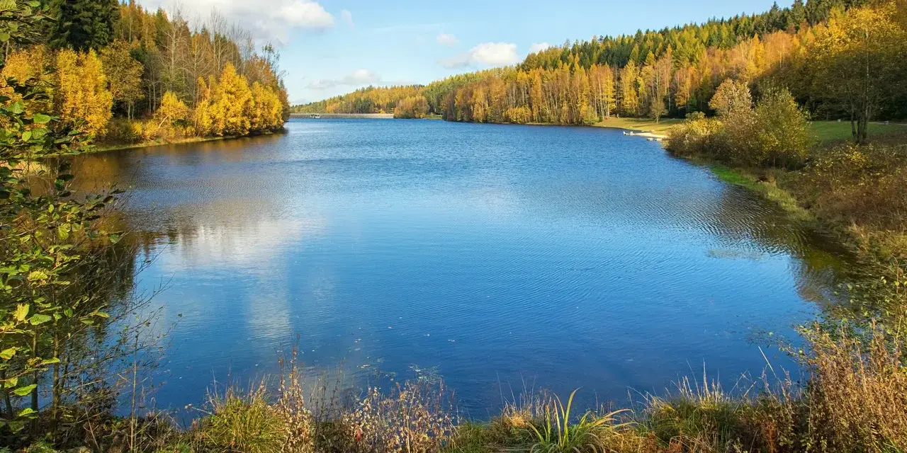 Herbstliche Farben umrahmen die Talsperre Falkenstein. Das Wasser spiegelt den blauen Himmel und die bunten Bäume wider.