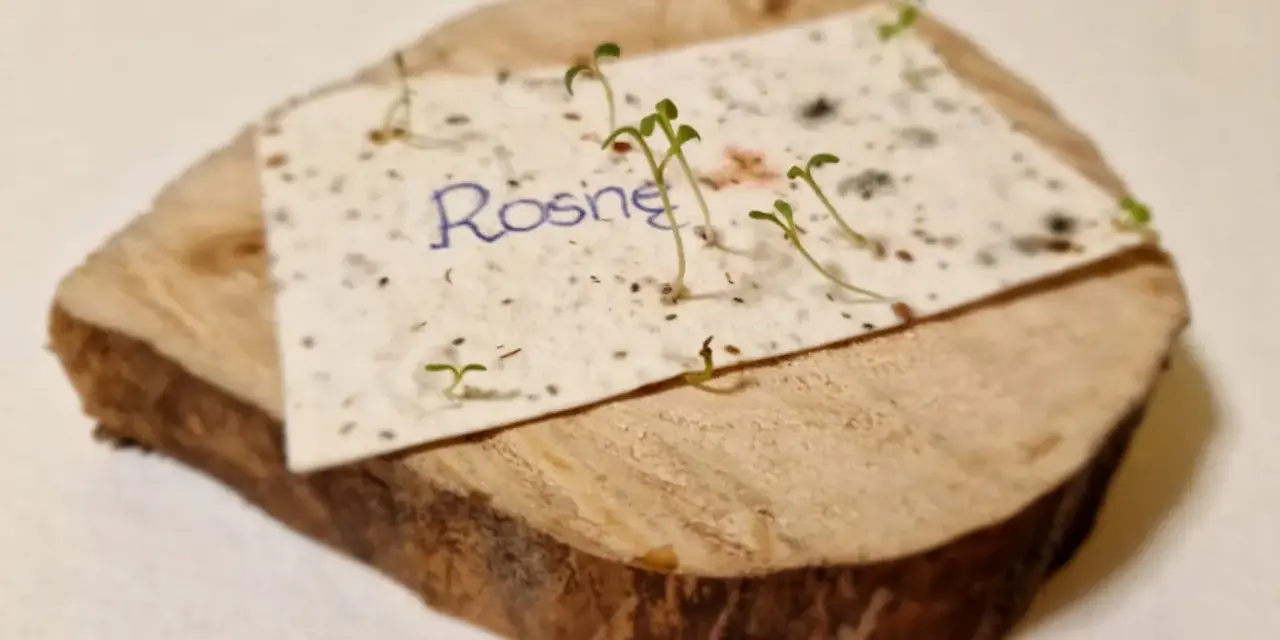 Papier z nasionami "Rosną" na drewnianym krążku, symbolizujący przyczyny sukcesu zaproszeń z motywem ekologicznym.
