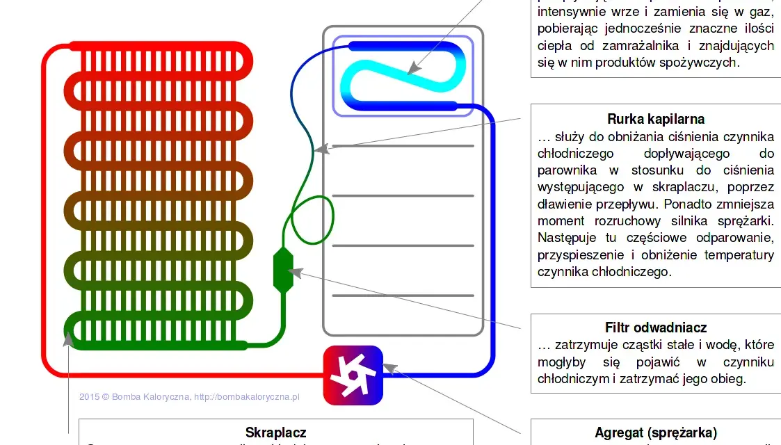 Jak działa lodówka? Odkryj sekrety chłodzenia i oszczędzaj prąd!