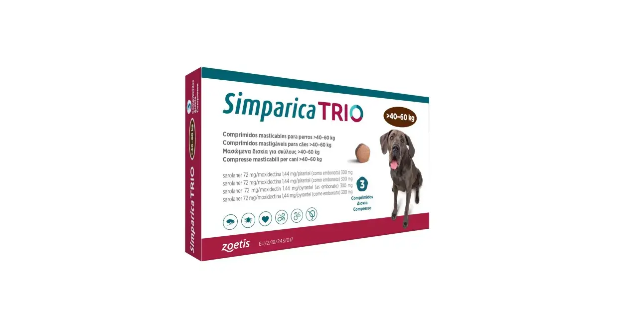 Tribiotic dla psa? Zanim użyjesz: ryzyko i bezpieczne alternatywy