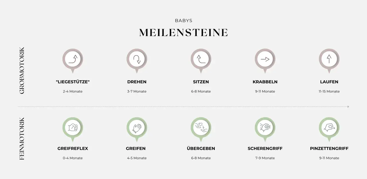 Übersicht der Meilensteine der Baby-Entwicklung: Grob- und Feinmotorik von "Liegestütze" bis "Laufen" und "Pinzettengriff".