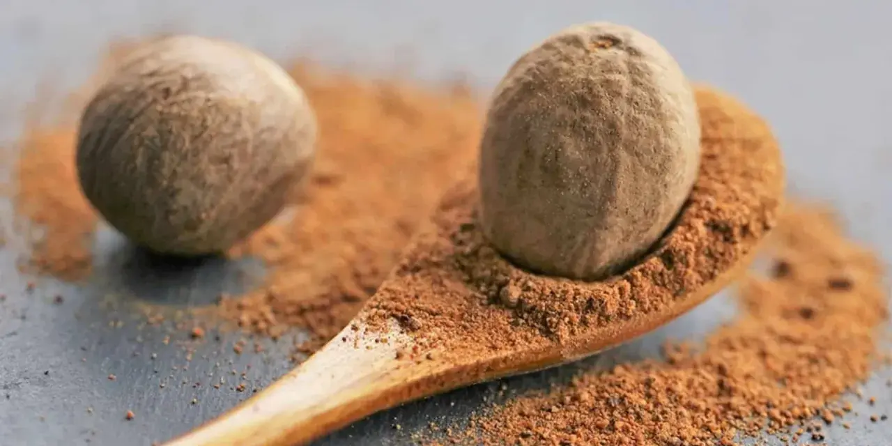Eine Muskatnuss auf einem Holzlöffel mit gemahlenem Muskatnuss. Vorsicht bei Muskatnuss in der Schwangerschaft.