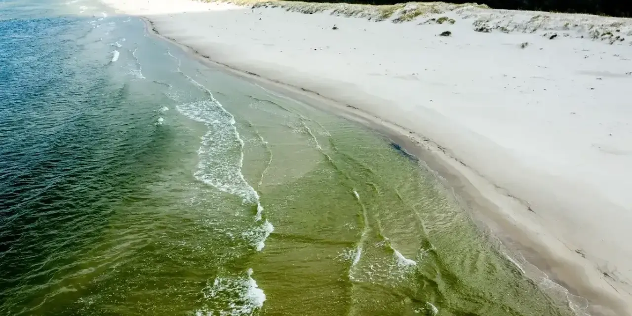 Plaża Słajszewo: szeroka, piaszczysta plaża z zielonymi wodami Bałtyku i lasem w tle. Idealne miejsce na spokojny spacer.