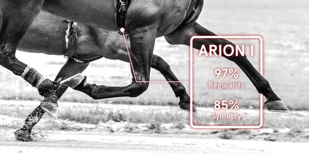 L'allure cheval est analysée : 97% de régularité et 85% de symétrie.