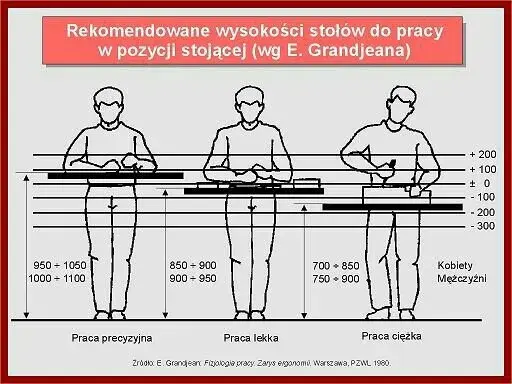 Optymalna wysokość blatu warsztatowego? Zadbaj o komfort i plecy!