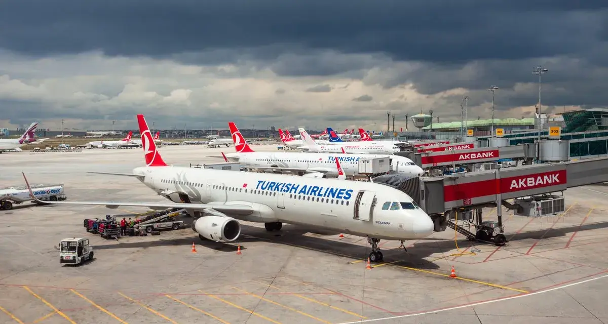 Samoloty tureckich linii lotniczych Turkish Airlines czekają na pasażerów przy rękawach lotniskowych.