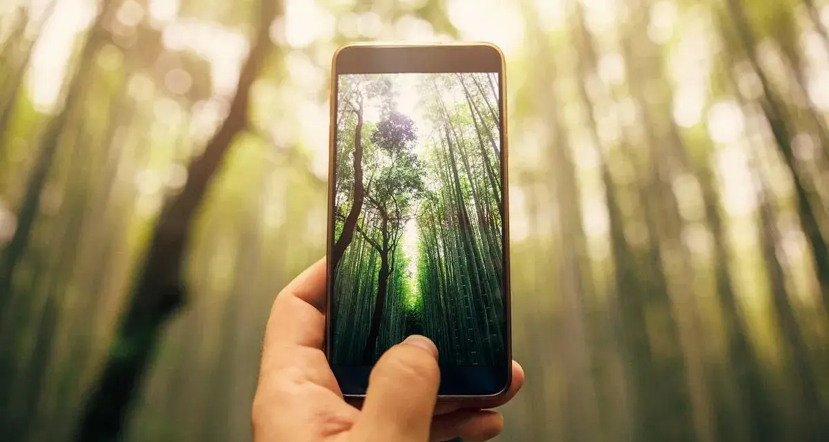 Jaka jest najlepsza rozdzielczość aparatu w telefonie, aby uniknąć rozczarowania?