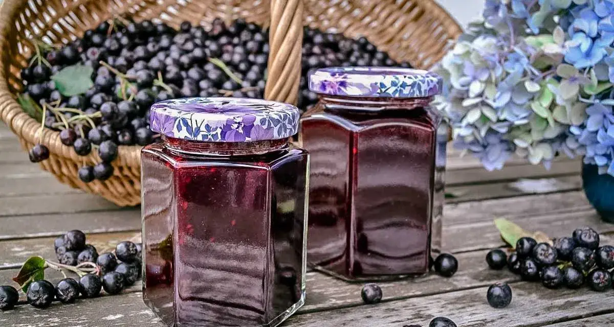 Zwei Gläser mit Aronia-Marmelade, bereit zum Verarbeiten. Ein Korb voller Aronia-Beeren steht im Hintergrund.