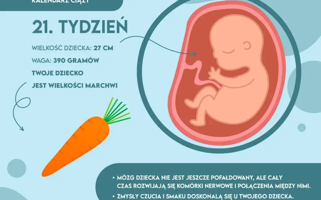 Ile waży dziecko w 21 tygodniu – zaskakujące fakty o wadze płodu