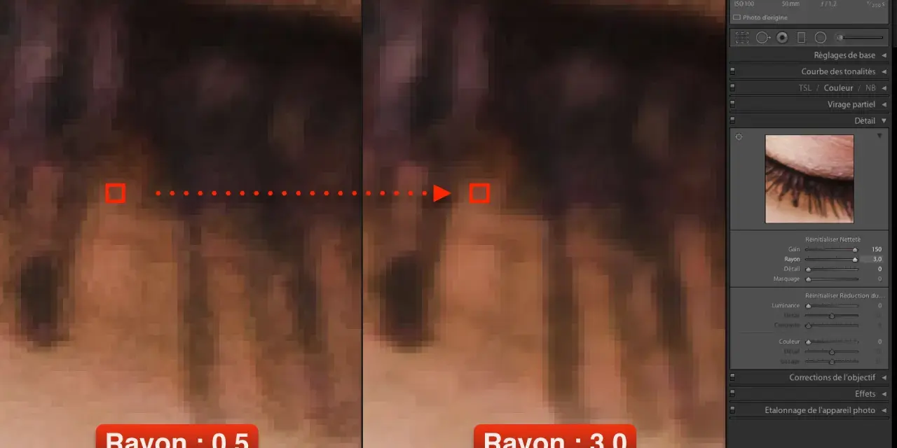 Comparaison de la netteté photo gratuit : rayon 0,5 vs 3,0. Zoom sur des cils, montrant l'impact du réglage du rayon sur la netteté.