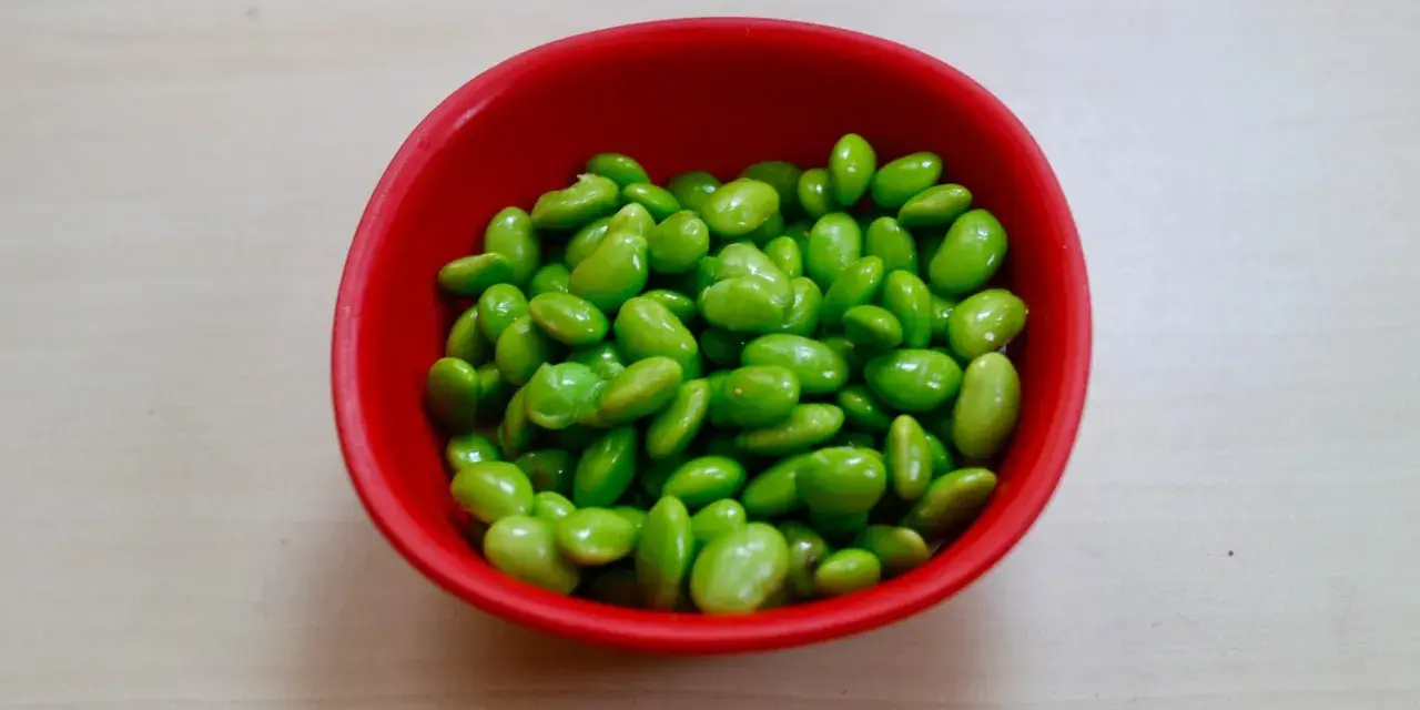 Czerwona miseczka pełna zielonych ziaren soi. Czy to edamame? Tak, to właśnie edamame, zdrowe i pyszne!