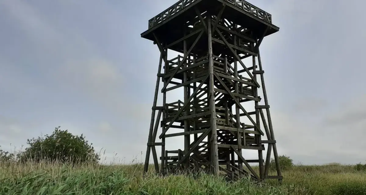 Drewniana wieża widokowa nad jeziorem Gardno, otoczona wysoką trawą. W dole widać fragment roweru.
