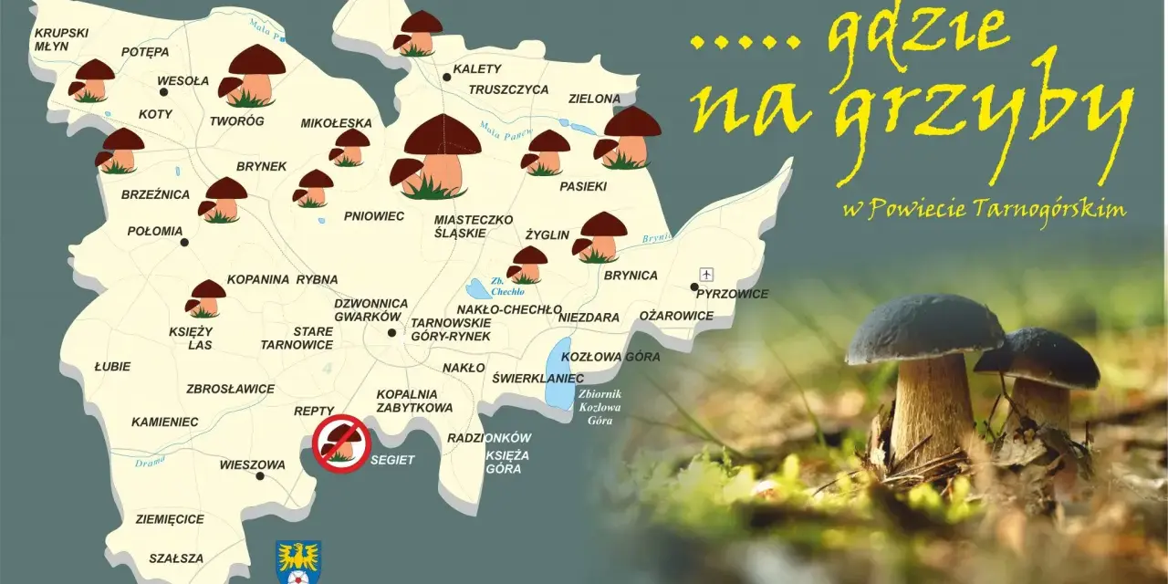 Mapa grzybobrania śląskiego w Powiecie Tarnogórskim. Wskazuje najlepsze miejsca na grzyby, z zaznaczonymi lasami i miejscowościami.