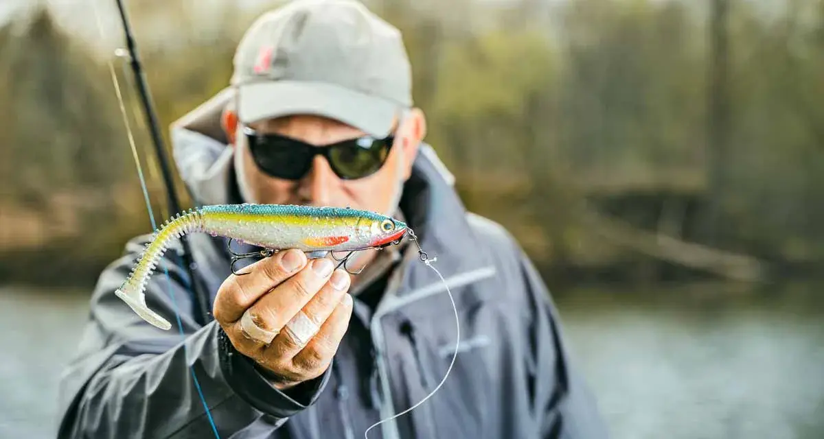 Ein Angler hält einen bunten Gummifisch, ein **big baits hecht** Köder, bereit für den Fang.