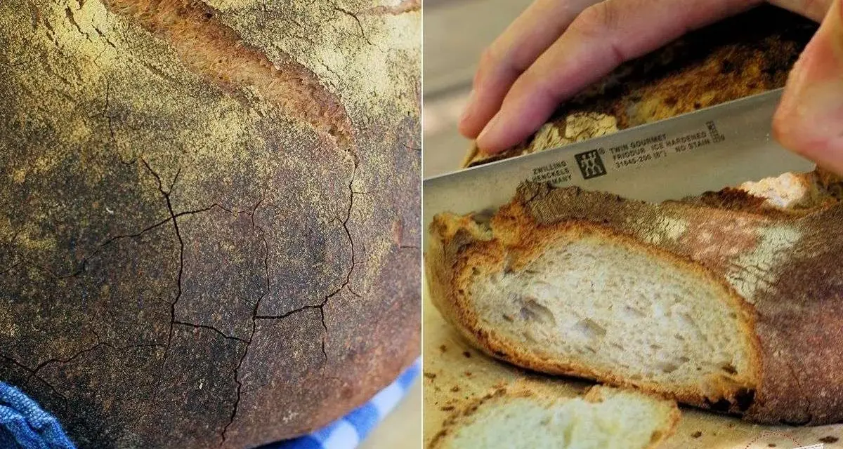 Krosses Brot mit Rissen, perfekt gebacken bei richtiger Temperatur. Ein Messer schneidet eine Scheibe ab.