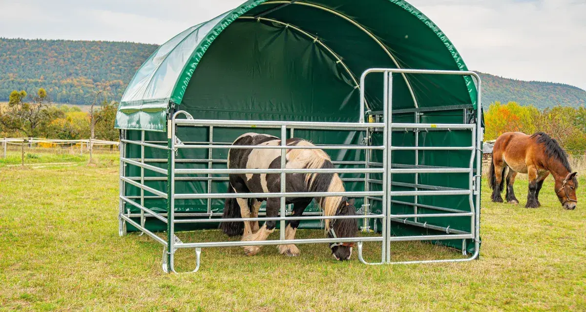 Deux chevaux dans un pré, l'un sous un abri vert. Idéal pour le tarif location pâture pour chevaux.
