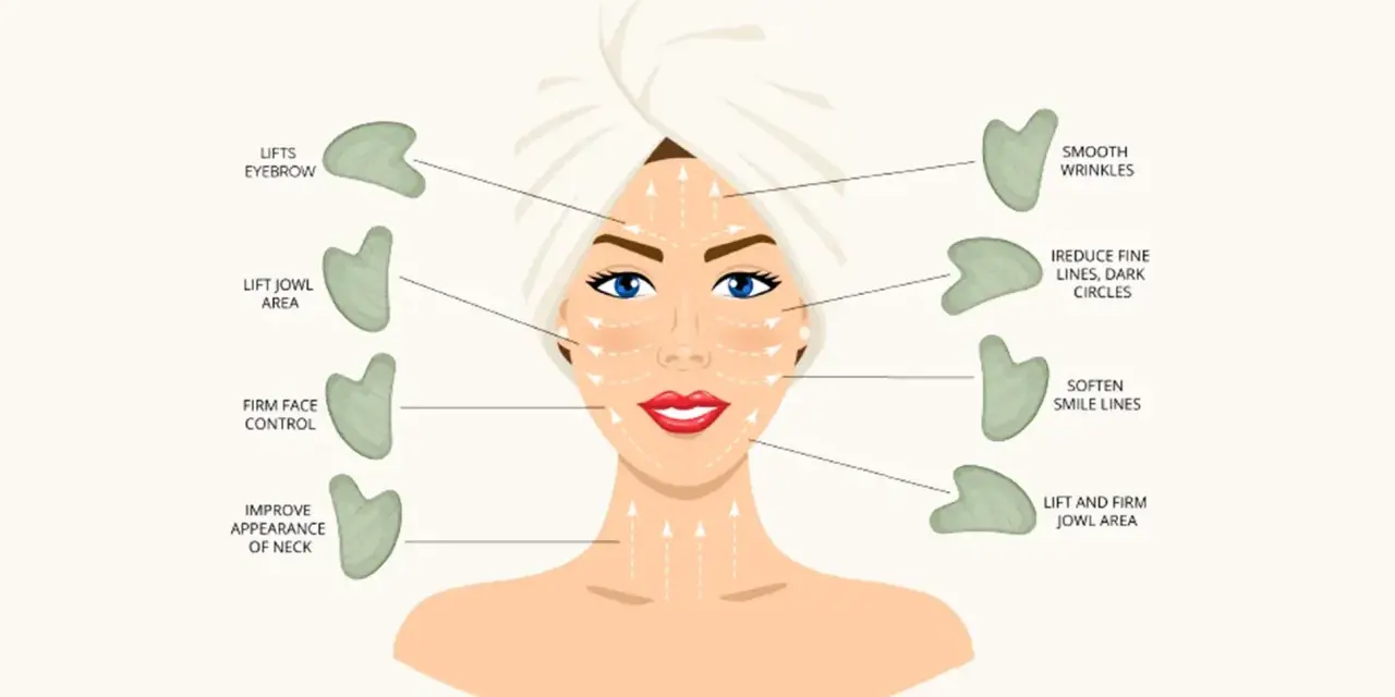 Gua sha wirkung: Illustration zeigt, wie Gua Sha die Augenbrauen hebt, Falten glättet und die Kieferpartie strafft.