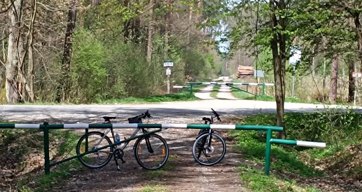 Dwa rowery czekają na odkrycie malowniczych tras rowerowych w Tarnowie. Leśna droga zaprasza do przygody.