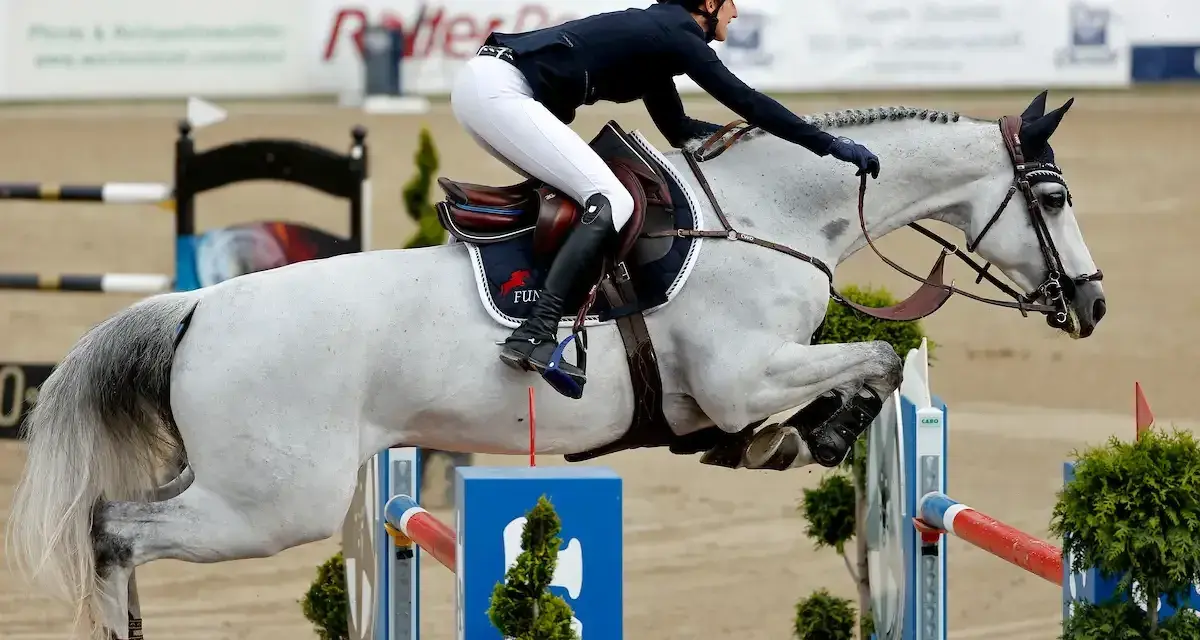 Reiterin und Schimmel springen über Hindernis. Der Aufbau der **Springgymnastik** zeigt die Eleganz und Kraft des Pferdesports.
