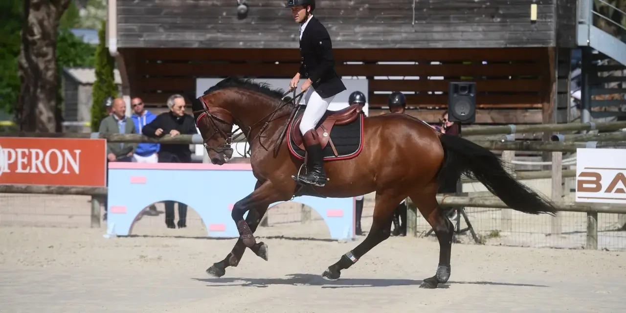 Cavalier en tenue d'équitation sur un cheval brun, en plein saut. Le **cash du Plessis** est visible sur le harnais du cheval.