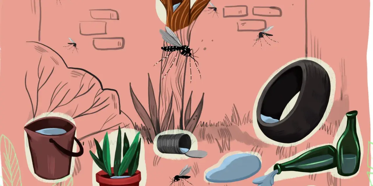 Los mosquitos se reproducen en agua estancada: cubos, macetas, neumáticos, botellas y latas.