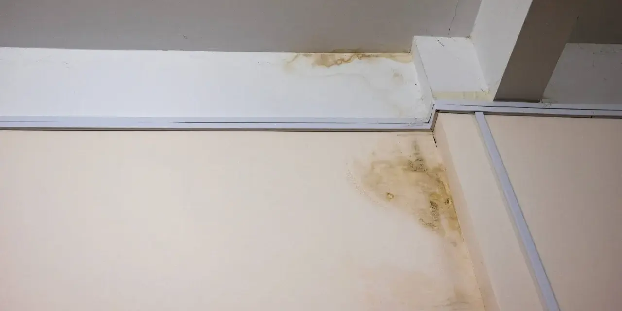 Taches de moisissure et d'humidité sur un mur et un plafond, signe d'un vice caché de maison et d'une infiltration d'eau.