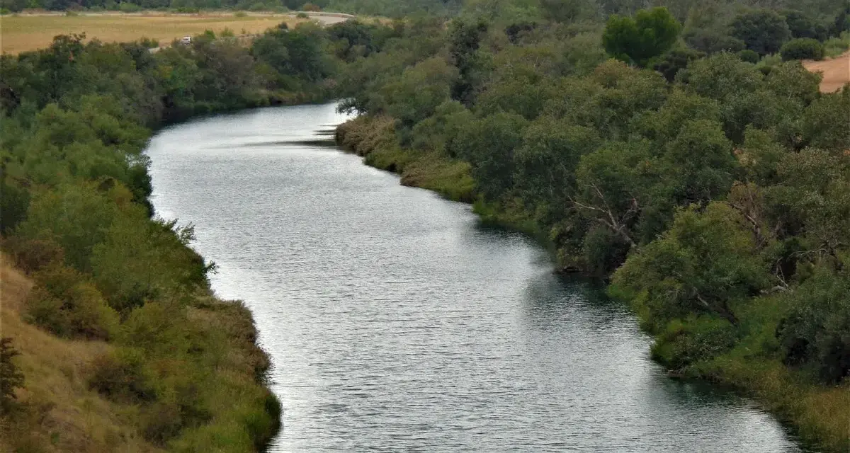El río serpentea a través del parque fluvial de Zorita de los Canes, rodeado de exuberante vegetación y colinas boscosas.