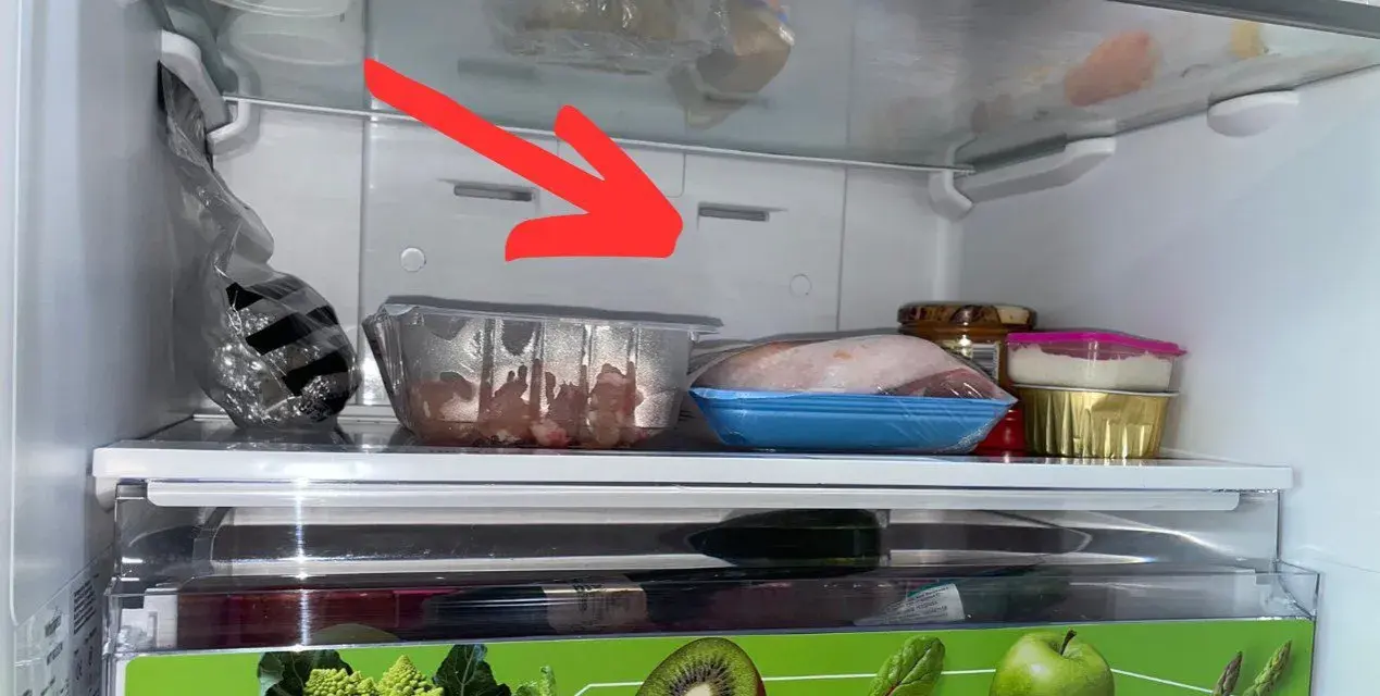 Woda w lodówce? Zatkany odpływ? Udrożnij go sam w 5 krokach!