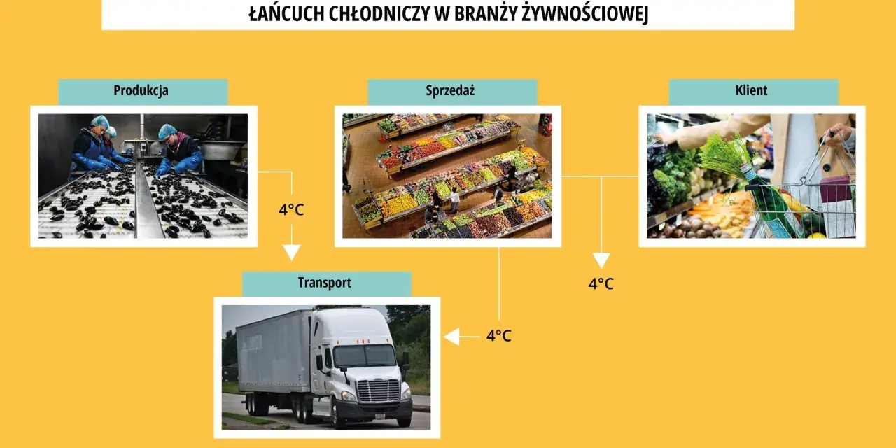 Łańcuch chłodniczy w branży żywnościowej: produkcja, transport, sprzedaż i klient. Utrzymanie 4°C zapobiega psuciu się produktów.