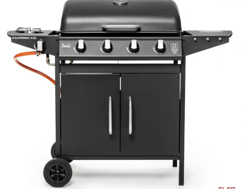 Grille Activa Mastercook: Jaki model wybrać? Recenzje i opinie