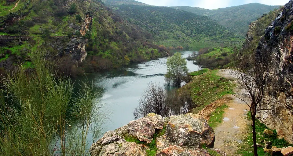 Un río serpentea entre cañones verdes, parte de la ruta cañones del río Lozoya. Un camino de tierra bordea la orilla.