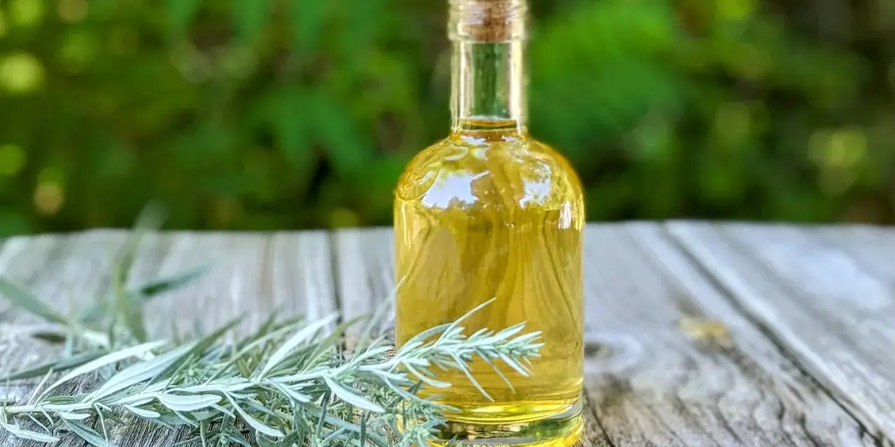 Eine kleine Glasflasche mit gelblicher Flüssigkeit und einem Korkverschluss steht neben frischen Wermut-Zweigen auf einem Holztisch. Ein altes Wermut Rezept zum Nachmachen.