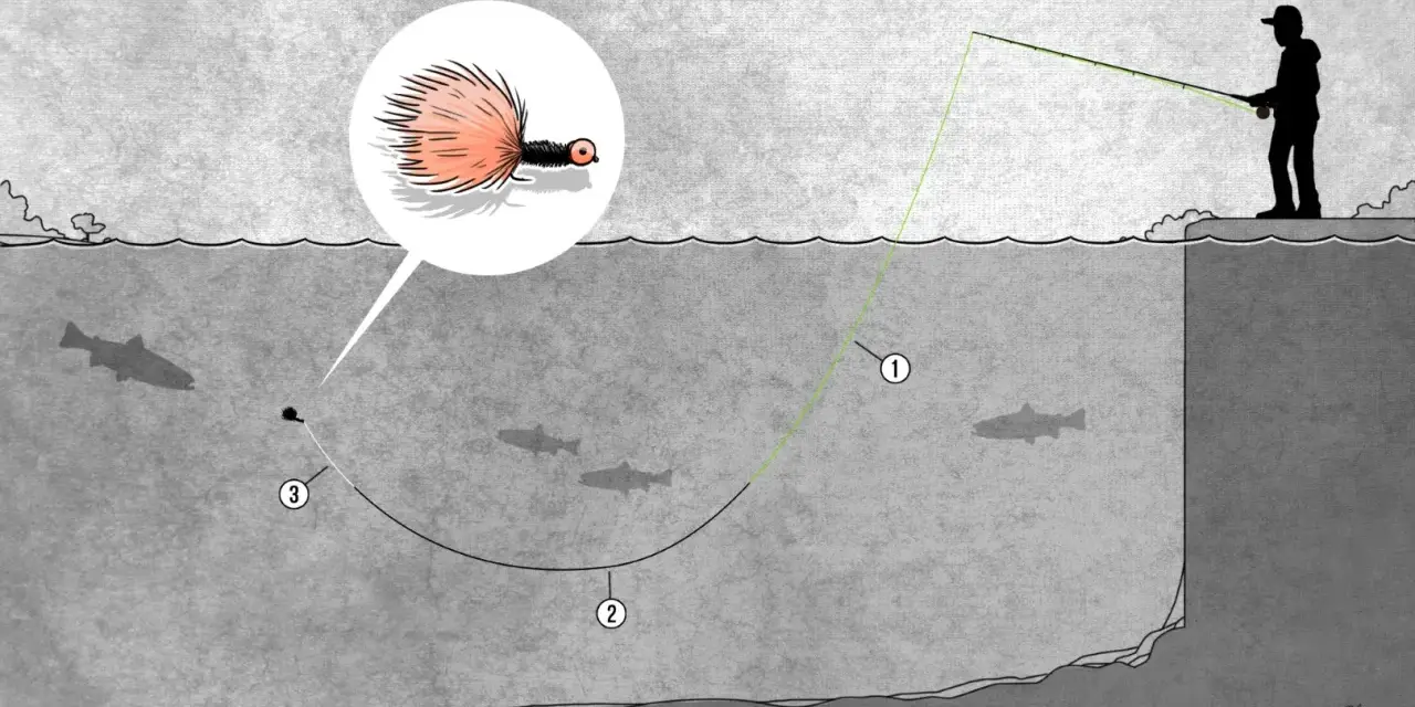 Illustration einer fliegenfischen montage: Ein Angler wirft eine Fliege, die im Detail gezeigt wird, ins Wasser, wo Fische schwimmen.