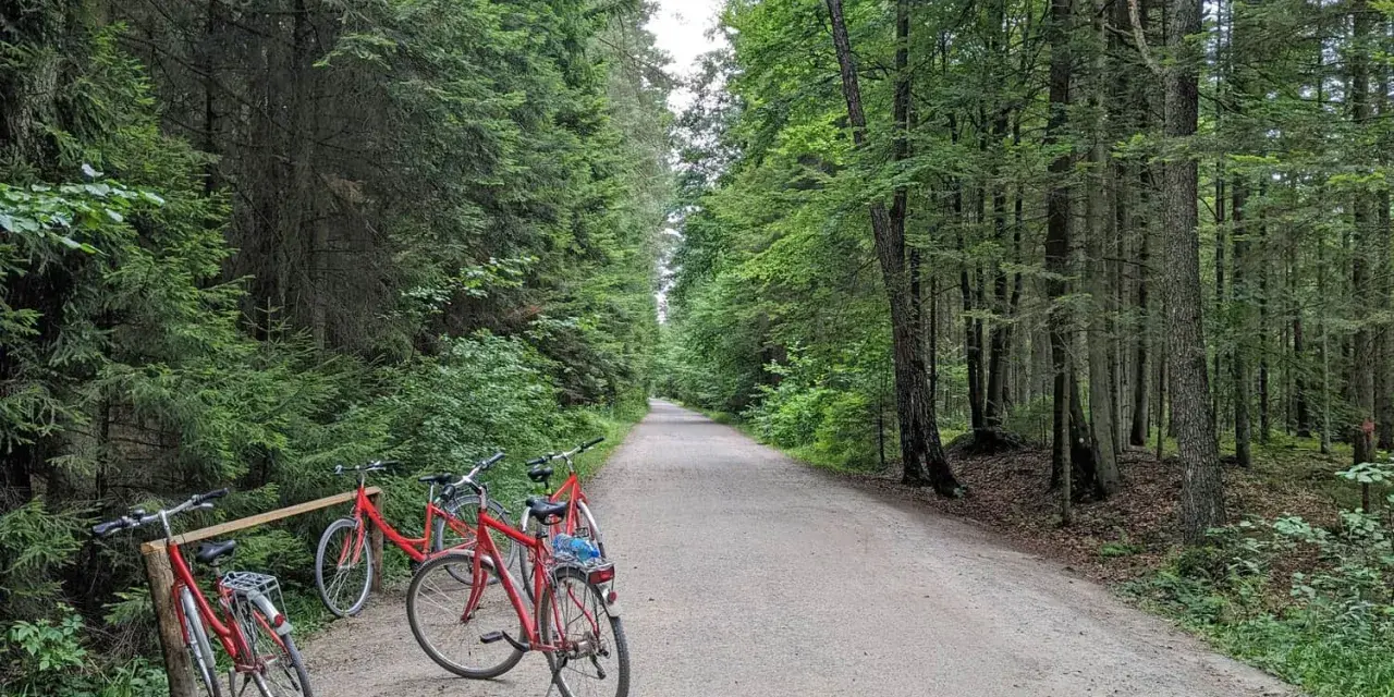 Leśna trasa rowerowa, gdzie stawy echo zwierzyniec zapraszają do odkrywania. Czerwone rowery czekają na przygodę.