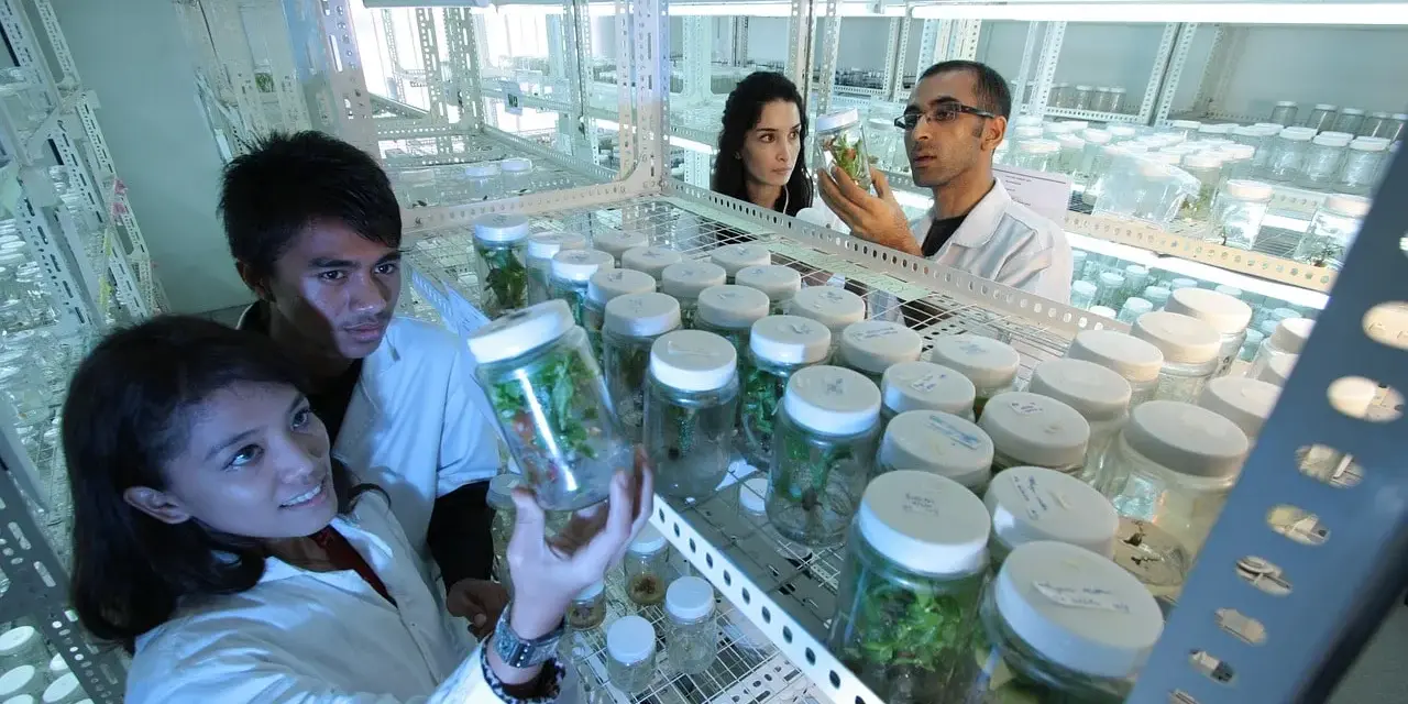 Ricercatori in laboratorio analizzano campioni vegetali in provetta. Un futuro promettente per le biotecnologie mediche, con uno stipendio che riflette l'innovazione.