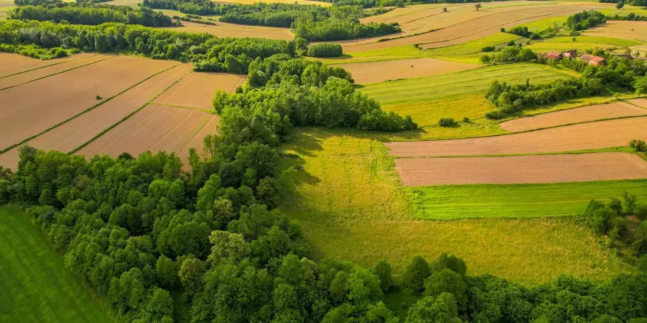 Widok z lotu ptaka na pola uprawne i lasy. Cienie drzew wskazują, jak sprawdzić nasłonecznienie działki.
